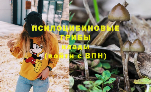 герыч Алзамай