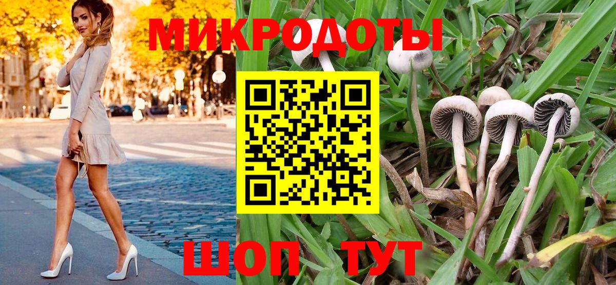 Псилоцибиновые грибы Cubensis  Вход с VPN  Карпинск 