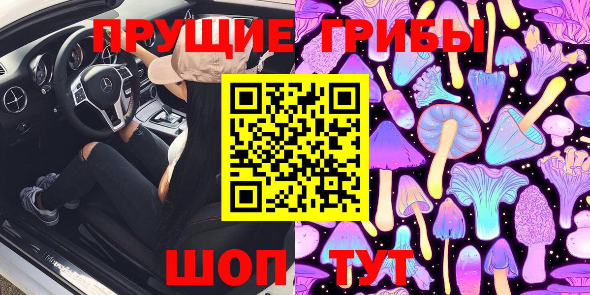 Псилоцибиновые грибы Psilocybe Карпинск